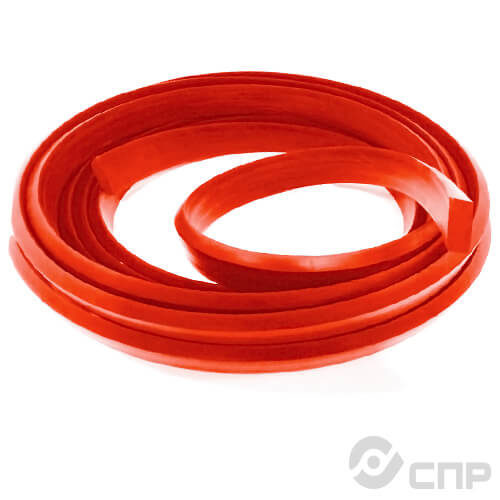 Шнур прямоугольного сечения 10х10